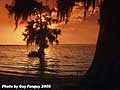 Guy Fanguy - Artist - Photographer - Guy Fanguy - Campgrounds - Louisiana -  Lake End Park in Morgan City (109).jpg Size: 55323 - 15